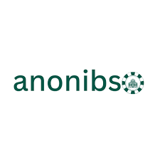 Anonibs: Exploring Anonymous Social Media Platforms, Privacy, and Digital Interaction